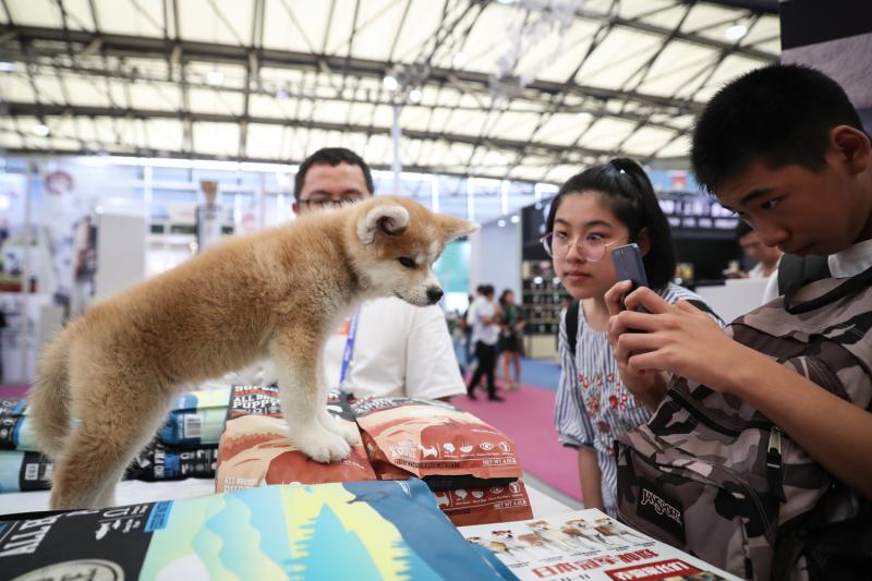 可愛いペットはいっぱい アジアペットフェアが上海で開幕