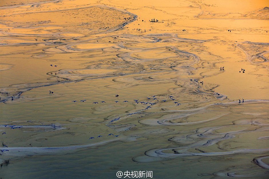 中国黄河大面積の氷結で、絵のように美しい